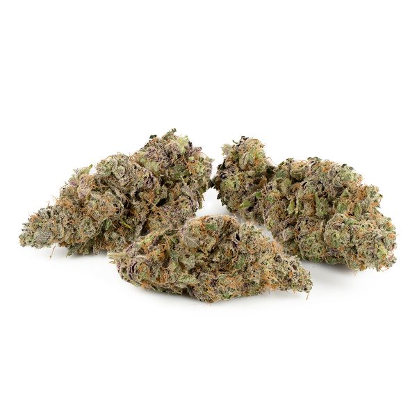 Mimosa By Symbiotic Genetics Buy Weed Online At Green Society Canada